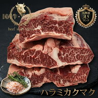牛ハラミ 黒毛和牛 特上はらみカクマク ブロック 暫定重量 約0.3kg前後 牛肉 ブロック 冷凍 オールミート…