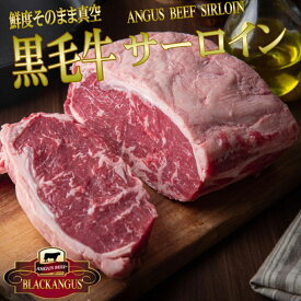 業務用 ブラックアンガス サーロインブロック 暫定重量 約700g　 量り売り 1パック約700〜1200g個体差があります。 冷凍 牛肉 焼肉 オールミート お肉 肉 精肉 加工品 BBQ バーベキュー ギフト 御歳暮 お歳暮