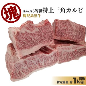 ʂ蔄 јa {   󏭕 A5A4 OpJrubN bd 1kgO  ubN Ⓚ Y  I[~[g    Hi BBQ o[xL[