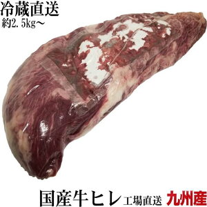  BY јaz YqubN ① ʂ蔄 bd 3.8kgO [̍L]  ubN ē I[~[g    Hi BBQ o[xL[ Mtg 