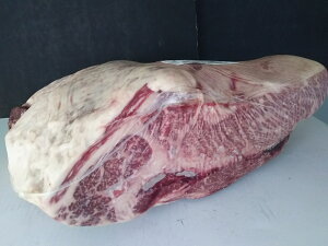 Ɩp ①̔ BY[X ( NV^ ) Ƃ lbN ʂ蔄 I[~[g    Hi BBQ o[xL[  蕨 v[g Mtg Ε 