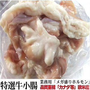 Ɩp  z6.8kg K idĎYuJi_ AJ LVRvⓀ Xe[L I[~[g Ⓚ  ubN    O Mtg v[g  