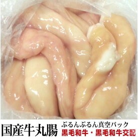 ぷるっぷる 国産牛丸腸・和牛交配 太いとこだけ！ 業務用 ホルモン 丸腸 約1.5kg 冷凍 オールミート お肉 肉 精肉 加工品 BBQ バーベキュー お得 贈り物 プレゼント ギフト 御歳暮 お歳暮