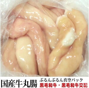 ՂՂ YےEaz ƂI Ɩp z ے 1.5kg Ⓚ I[~[g    Hi BBQ o[xL[  蕨 v[g Mtg Ε Ε
