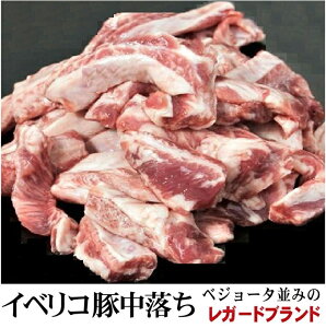 イベリコ豚 ブロック 豚肉の人気商品 通販 価格比較 価格 Com