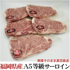 Y uh A5 IT[C 200gO m ʂ蔄 Ⓚ I[~[g    Hi BBQ o[xL[  蕨 v[g Mtg Ε Ε