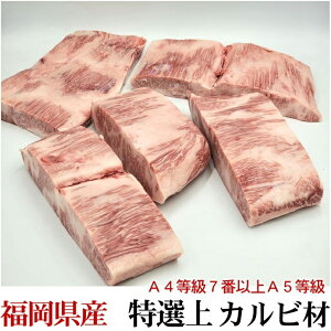 Y A5A4 I^eo 󏭃Jr bd 400gO ʂ蔄 TCY Ⓚ I[~[g    Hi BBQ o[xL[  蕨 v[g Mtg Ε