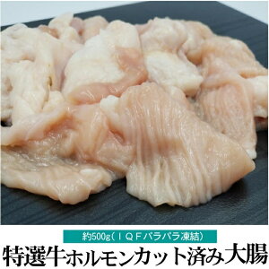 _炩咰 V} Jbg IQFpppbN 500g T[rX^t  ē bbq  Ⓚ I[~[g    Hi BBQ o[xL[  蕨 v[g Mtg Ε 