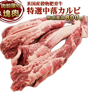 Jr utBK[ iAJY iVi ubNAKX bd 800g Ɩp ʂ蔄 ^ⓀJ bbq  I[~[g    BBQ o[xL[ Mtg