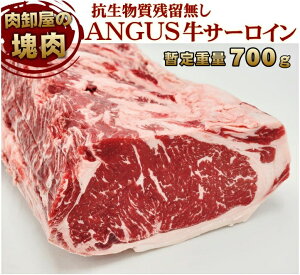 ① Ɩp ubNAKX T[CubN Rc[ ʂ蔄 1pbN bd 700gO  ē ubN I[~[g    Hi BBQ o[xL[ Mt