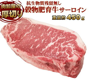 ɌT[CXe[L 450gO Rc0 zc Xe[L Ⓚ I[~[g  ubN bbq  ē eMtgΉ 蕨 Mtg v[g Ε Ε