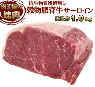 抗生物質残留0 成長ホルモン残留無し 牛サーロインブロック 約1kg前後 業務用冷凍 牛肉 ブロック オール…