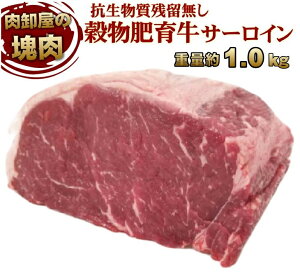 Rc0 zc T[CubN 1kgO ƖpⓀ  ubN I[~[g    Hi BBQ o[xL[ Mtg Hו Ε Ε