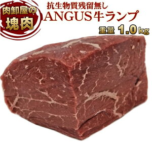 Rc0 zc  v 1kgO ƖpⓀ  ubN I[~[g    Hi BBQ o[xL[  蕨 v[g Mtg Ε Ε