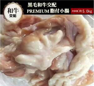 黒毛和牛交配小腸 業務用 牛ホルモン 約5.0kg 品質重視 豪州産 冷凍 オールミート お肉 肉 精肉 加工品 BBQ バーベキュー お得 贈り物 プレゼント ギフト 御歳暮 お歳暮