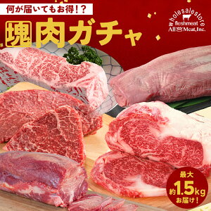  K` ő1.5kg ^ubN 500g ɃubN1͂I ^ T[C K` ubN v Y јa I[~[g   ubN  Og Mt