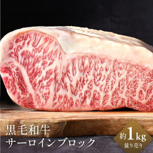 BY јa T[C oY bd 1kgO ʂ蔄 Ɩp Ⓚ i I[~[g   ē BBQ o[xL[ Xe[L T[CXe[L Mtg v[g  