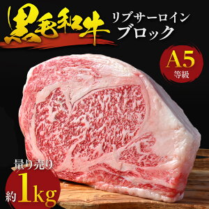 BY јa ʂ蔄 A5 u[X bd 1kg uT[CubN ʂ蔄 Ɩp ܂   ē ubN Ⓚ Xe[L I[~[g Ⓚ  O Mt