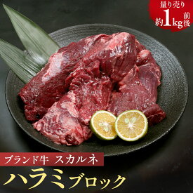ハラミ ブロック 約1kg前後 スカルネ ブランド牛 メキシコ産 牛肉 希少部位 ハラミステーキ ハラミ肉 はらみ ブロック肉 牛肉 オールミート bbq 肉 焼肉 ステーキ ギフト プレゼント 御歳暮 お歳暮