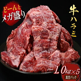 牛ハラミ 焼肉 業務用 やわらか牛ハラミ メガ大盛り5kg ケース販売 1kg×5個 冷凍 オールミート 牛肉 bbq 肉各種ギフト対応 贈り物 プレゼント グルメ 御歳暮 お歳暮