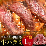 牛ハラミ 焼肉 業務用 やわらか牛ハラミ メガ大盛り1kg 冷凍 オールミート 牛肉 bbq 肉各種ギフト対応 贈…