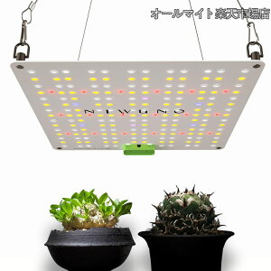 �y���������z�p�l���� LED���C�g UVa+IR �ϗt�A��/�A�K�x/��/����/�����A��/�r�J�N�V�_/�A�N�A���E�� �iGlow Q-Pad 4000K 45W 1�����j