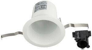 �y���������z�_�E�����C�g LED ��100 �{�� �� �d���F NNN61512WK