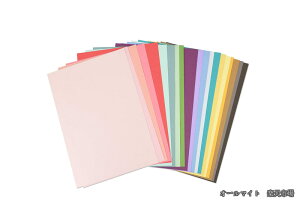 Sizzix �J�[�h�X�g�b�N �A�\�[�g �}���`�J���[ 80���� Surfacez Cardstock 8 1/4 X 11 3/4 20 Assorted Colors 80 Sheets 663007