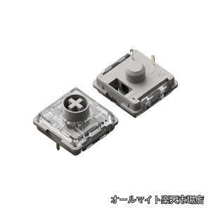 �y���������zHades ���[�v���t�@�C�� POM�X�C�b�` 40g ���j�A�^�C�v (Flow/Flow Lite��p) �z�b�g�X���b�v�Ή� �L�[�{�[�h�X�C�b�` (106�Z�b�g)