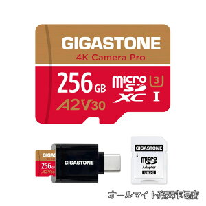 �y���������z�}�C�N��sd�J�[�h 256GB Type C�J�[�h���[�_�[�t�� 4K Camera Pro microSDXC UHS-I A2 V30 U3 C10 100MB/s Ultra HD 4K �r�f�I�^�� Gopro �C���X�^360 �A�N�V�����J���� �X�|�[�c�J���� 4K Ultra HD ���� SD�A