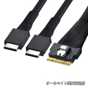 �y���������zPCI-E �E���g���|�[�g �X�������C�� SAS �X���� 4.0 SFF-8654 8i 74pin to Dual Oculink SFF-8611 �P�[�u�� 50cm PCI-Express