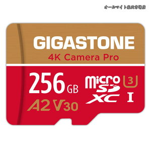 �y���������z�}�C�N��sd�J�[�h 256GB 4K Camera Pro microSDXC UHS-I A2 V30 U3 C10 100MB/s Ultra HD 4K �r�f�I�^�� Gopro �C���X�^360 �A�N�V�����J���� �X�|�[�c�J���� SD�A�_�v�^�[1���t��