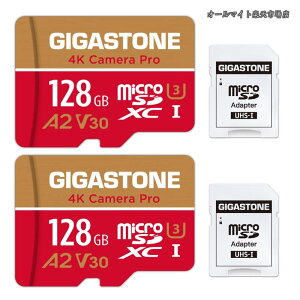 �y���������z�}�C�N��sd�J�[�h 128GB 2�Z�b�g 4K Camera Pro microSDXC UHS-I A2 V30 U3 C10 100MB/s Ultra HD 4K �r�f�I�^�� Gopro �C���X�^360 �A�N�V�����J���� �X�|�[�c�J���� SD�A�_�v�^�[2���t��