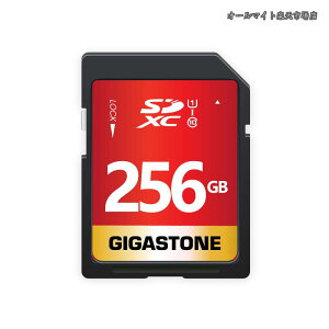 �y���������z256GB SD�J�[�h SDXC UHS-I U1 C10 80MB/s �������[�J�[�h �t��HD �r�f�I �f�W�^���J���� �����L�^ �~�j�P�[�X1�t��