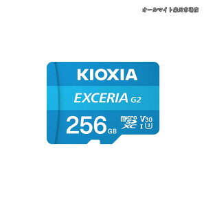 �y���������zEXCERIA G2 Micro SD�J�[�h�B