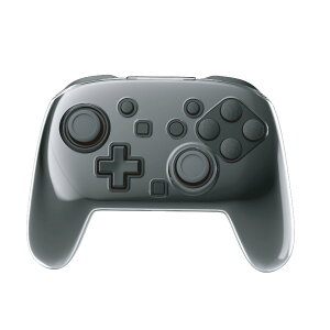Switch2pProRΉP[X NA