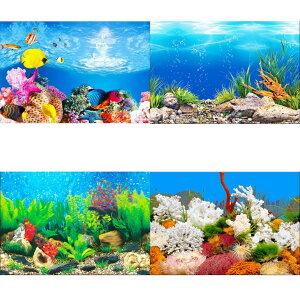 �A�N�A���E�� ���� ���^���N �o�b�N�X�N���[�� �w�i ������ ���� �|�X�^�[ ���� �O�� �o�b�N�O���E���h