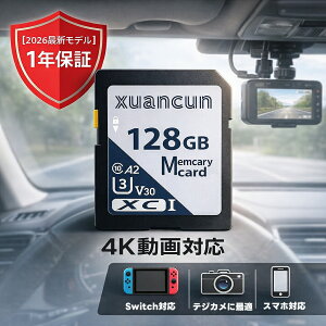 SD�J�[�h 128GB ���ϋv SDXC�J�[�h UHS-I U3 A2 V30 Class10 �������[�J�[�h �ő�100MB/s ���� �h�����R�p Switch�Ή� �f�W�J�� �X�}�z�Ή� 1�N�ۏ� �R�X�p���Q �����