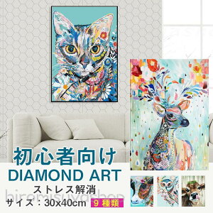 �_�C�������h�A�[�g ���S�� �L�b�g 5D �_�C�������h�h�J �r�[�Y �_�C�������h�r�[�Y �L �� �l�R �˂�