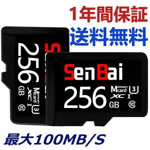 �y�ۏ�5�N�z Class10�C�V���X�C�b�`/�h�ƃJ����/�h�����R�p switch 256�M�K ���K�i sd�J�[�h �}�C�N��sd 256gb �}�C�N��sd�J�[�h
