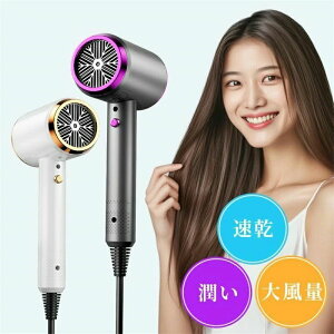 ���� ���� �������� ���s �ߔM�ی� �y�� 1200W 20m/s ���� �ᑛ�� �w�A�h���C���[ �����h���C���[ �w�A�P�A �����h���C���[ �╗