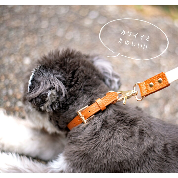楽天市場】【クーポン利用20%OFF】 首輪 犬 小型犬 レザー 牛革 