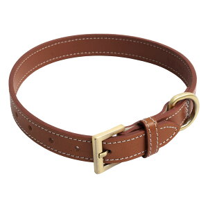   ^ U[   ^ v  L  {v C^AU[ ̎ gCv[h ` _bNXtg Č  Ck ˂ lR Lbg ybgpi ybgOb