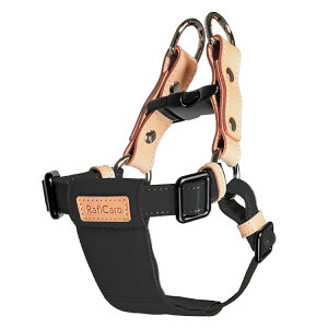 {v C^AU[  n[lX ^ ^ ȒP v TCY U[   v  L gCv[h ` _bNXtg Č  Ck ˂ lR ybgp