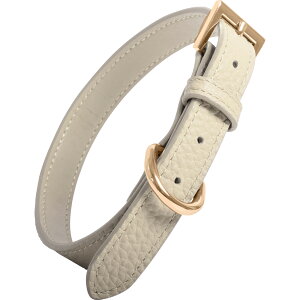 yN[|p20%OFFz   ^ U[ v ybg  킢 ^ y DJ gCv[h ` ~j`A_bNX Č L RafiCaro uh ybgpi Togo ybgOb