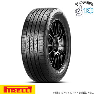 255/40R20 20�C���` �T�}�[�^�C�� | �s���� �X�R�[�s�I�� MS 1�{�̂� ���K�i