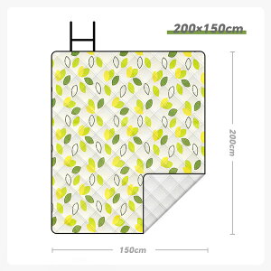 AEghANbV W[V[g sNjbNV[g@܂肽݁@@@唻 150×200 Lv @Ԍ@ @q@  􂦂 NbV 傫 sNjbN ^