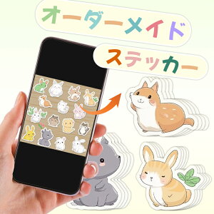 1000!IWiXebJ[ I[_[Ch JX^V[ IWivg  ʐ^ mxeB OV[ ^Op OV[ Ȃ܂V[ Ȃ܂V[ l[V[ 