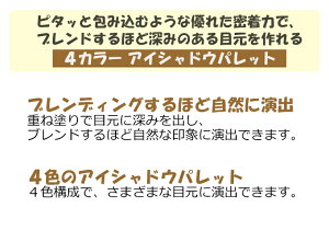 『EtudeHouse・エチュードハウス』ブレンドフォー4アイズ