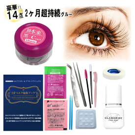 【送料無料】【 2ヶ月超持続グルー ★ シンデレララッシュ 】今すぐできる豪華14点セット♪ 3mL 日本製グルー まつげエクステ マツエクキット エクステキット セルフ まつ毛エクステ マツエクセット 束マツエク 中上級セット